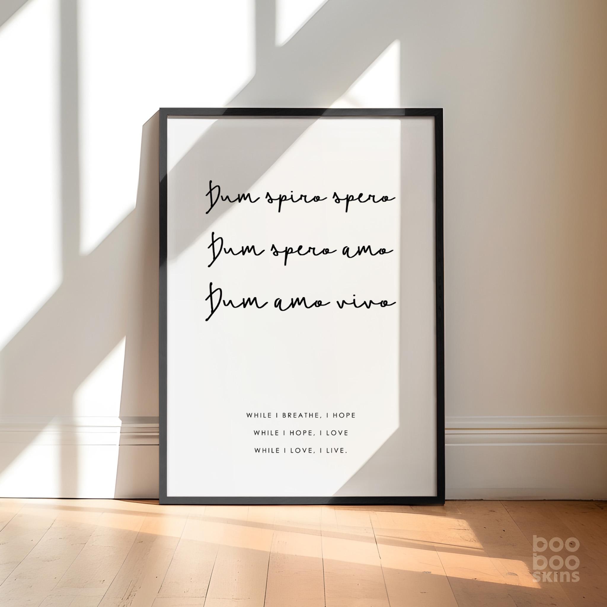 Dum Spiro Spero Print