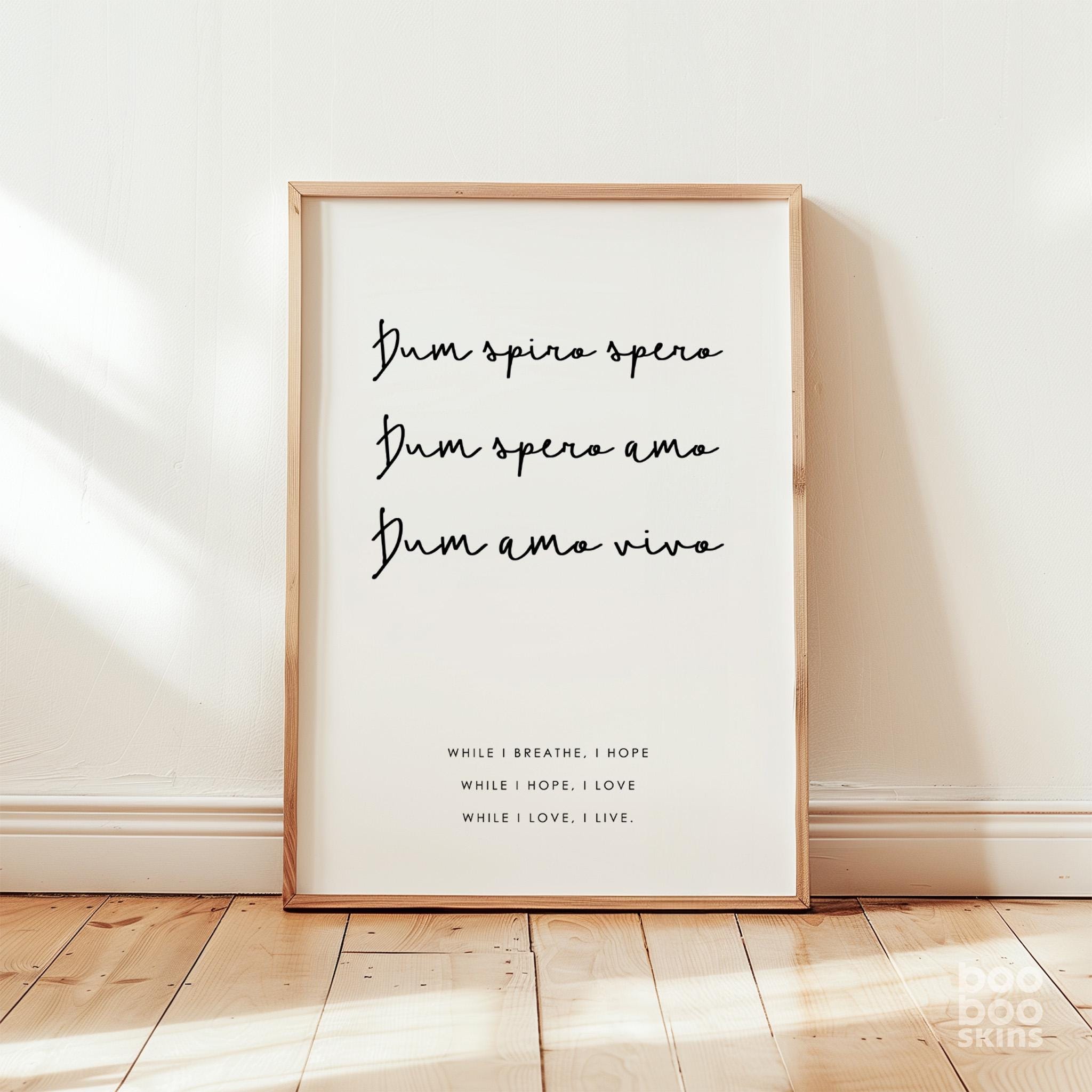 Dum Spiro Spero Print - Image 2